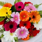 GERBERA BOUQUET